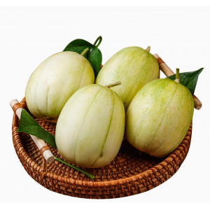 东北小香瓜、现摘当季甜瓜、蜜瓜脆瓜