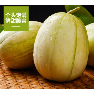 东北小香瓜、现摘当季甜瓜、蜜瓜脆瓜