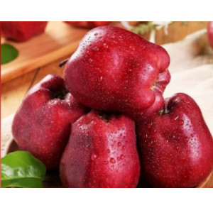 花牛苹果甘肃天水10斤新鲜水果当季整箱红蛇果孕妇应粉面批发刮泥