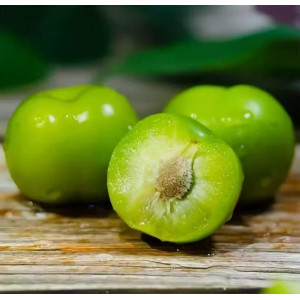 酸脆珍珠李三月华李水果现摘现发