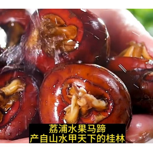 特大果农家现挖清水马蹄荸荠水果新鲜蔬菜地梨地栗马蹄
