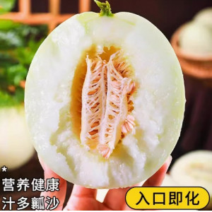 现摘陕西阎良甜瓜白皮蜜瓜当季新鲜水果