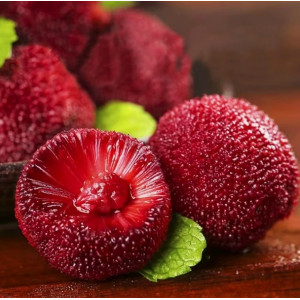 杨梅新鲜现摘应季孕妇批发东魁特大杨梅早梅荸荠