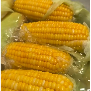 云南水果玉米甜玉米