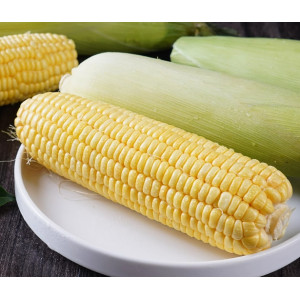 云南水果玉米甜玉米